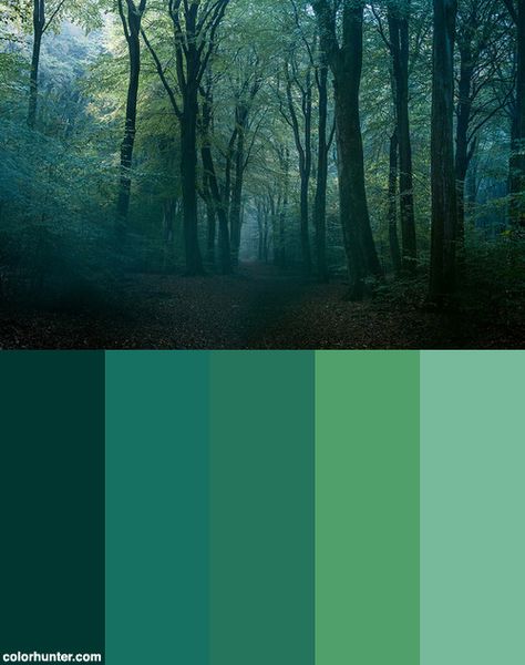 Forest Color Scheme Forest Palette Color, Swamp Colour Palette, Magical Forest Color Palette, Deep Forest Color Palette, Forest Colors, Swamp Color Palette, Color Palette Forest, Forest Colour Palette, Green And Blue Colour Palette