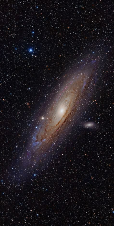 Andromeda Galaxy, Nebulas, Space Universe, Hubble Space, Space Pictures, Space The Final Frontier, The Final Frontier, Space And Astronomy, The Cosmos