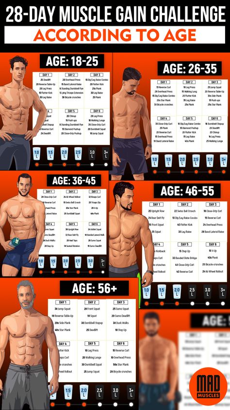 Bodybuilding Chest Workout, Exercises For Arms, Muscle Building Workout Plan, Muscle Gain Workout, Workouts For Men, Workout Plan For Men, Take A Quiz, Gym Antrenmanları, Diy Cushions