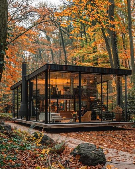 Glass Cabin In Woods, Forest Wood House, Houses In Forests Woods, Woods House Forest, Glass Cottage House, Glass House Mountains, Winter Glass House, Glass Houses Architecture, Glass House Forest