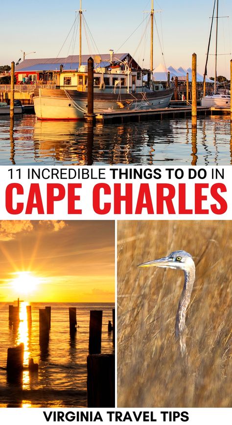 Are you traveling to the Eastern Shore and are looking for the best things to do in Cape Charles VA? This guide details what to do, where to stay, and more! | Cape Charles VA | Eastern Shore Virginia | Places to visit in Virginia | Cape Charles things to do | Tidewater Virginia | Things to do in Virginia | Beaches in Virginia | Kiptopeke State Park Virginia | Savage Neck Dunes Virginia | Virginia history | Chesapeake Bay Virginia Eastern Shore Of Virginia, Chesapeake Bay Virginia, Kiptopeke State Park Virginia, Eastern Shore Virginia, Beaches In Virginia, Visiting Virginia, Places To Visit In Virginia, Cape Charles Virginia, Travel Virginia