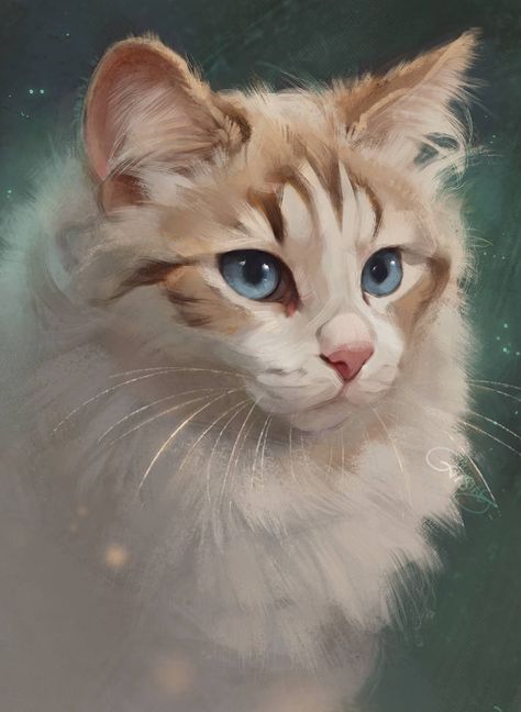 Cat Drawings, Warrior Cat, Cats Art, Cat Painting, Warrior Cats, Pet Portrait, White Cat, Animal Drawings, Cat Art