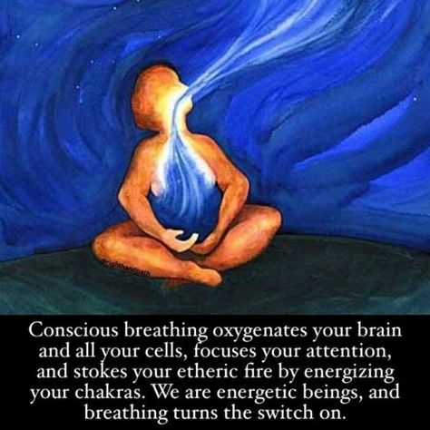 @meditationbynature on Instagram: “@meditationbynature #breathing #brain #conscious #devotional #determine #devotion #vedic #feeling #explore #eyes #sprite #lifestyle…” Just Breathe Quotes, Breathe Quotes, What Is Manifestation, How The Universe Works, Breathing Meditation, Life Force Energy, Buddha Quotes, Personality Quiz, Lip Service