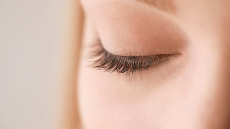 How to Tint Eyelashes: 6 Tips for Tinting Your Lashes - 2024 - MasterClass Tint Eyelashes, Eyelash Dye, Eyelash Tinting, Lash Tint, Natural Henna, Natural Eyelashes, Master Class, Beauty Tips, Eyelashes