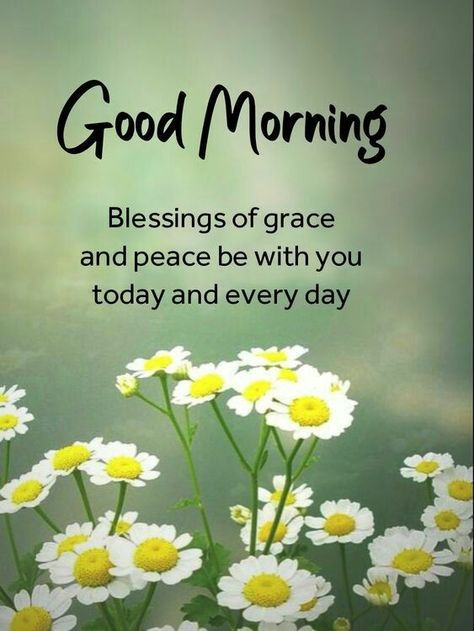 Good Morning Motivational Quotes, Inspirational Morning Prayers, Ladybug Quotes, Sweet Good Morning Images, Blessed Morning Quotes, Good Morning Wishes Friends, Good Morning Image, Good Sunday Morning, Morning Board