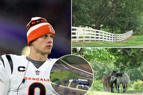 Joe Burrows, House Purchase, Ligament Tear, Joe Burrow, Nfl History, Raised Eyebrow, Horse Ranch, Ohio River, Football Field