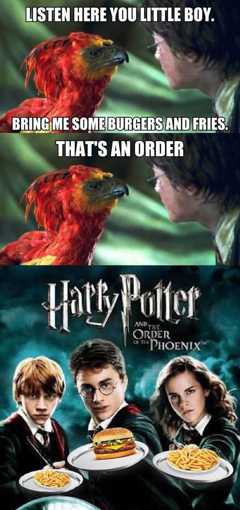 Harry Potter Humour, Harry Potter Humor, Xander Ford, Meme Harry Potter, Harry Potter Funny Pictures, Citate Harry Potter, Glume Harry Potter, Funny Harry Potter Jokes, Harry Potter Memes Hilarious