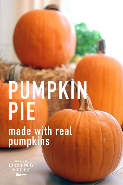 Pumpkin Pie With Fresh Pumpkin, Punkin Pie Recipe, Pumpkin Pie Recipe From Scratch, Fresh Pumpkin Pie Recipe, Fresh Pumpkin Recipes, Frozen Pumpkin Pie, Pumpkin Pie From Scratch, Fresh Pumpkin Pie, Pie From Scratch