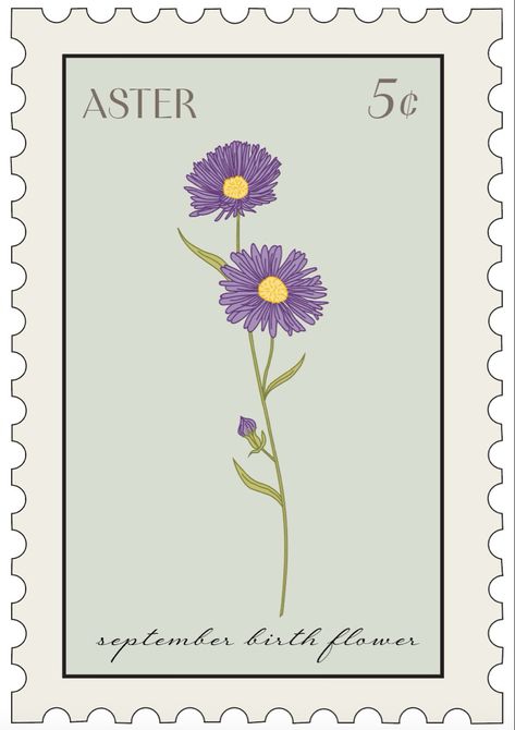 September Aster Tattoo, Colored Aster Flower Tattoo, Aster Flower Drawing, September Birth Flower Tattoo Aster, Aster Flower Embroidery, Aster Line Drawing, Birth Flower September, Aster Flower Illustration, September Birth Flower Tattoo