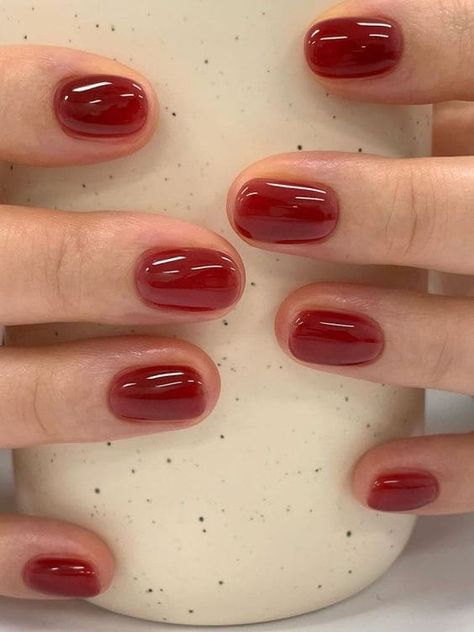 winter nail color: dark red Warm Toned Nails, Nails Design Korean, Short Nails For Winter, Winter Nude Nails, Red And Nude Nails, Short Jelly Nails, Korean Nails Short, Korean Gel Nails, Korean Nail Designs