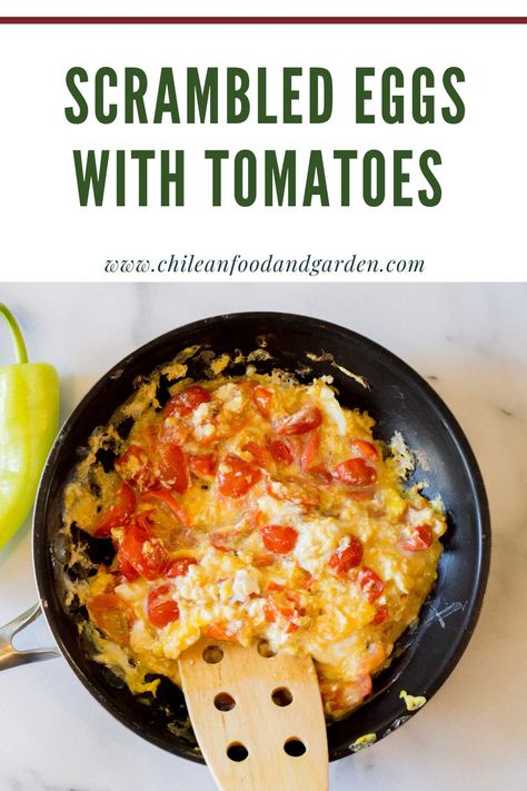 Pin for Scrambled eggs with tomatoes. Chilean Breakfast, Scrambled Eggs With Tomatoes, Eggs With Tomatoes, Chilean Food, Scrambled Eggs Recipe, Chilean Recipes, Country Bread, Scrambled Egg, Simple Sandwiches