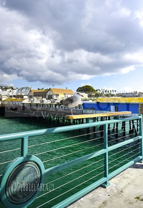 Redondo Beach #debbielabeaux #sunset #redondobeach #placestovisit #travel #california Redondo Beach Pier, Travel California, Beach Pier, Redondo Beach, California Beach, Beach Life, California, Travel