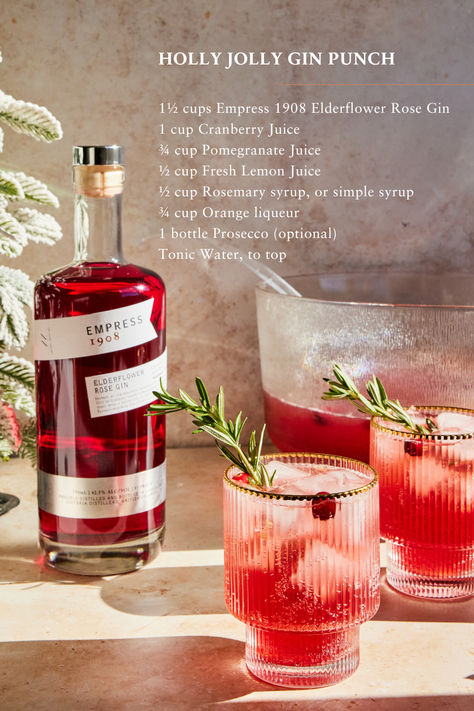 'Tis the season to be jolly, and what better way to celebrate than with a burst of cranberry, pomegranate, orange, and rosemary flavors! Join the party with @Join_Jules’ Holly Jolly Gin Punch! ❤️ Holiday Drinks With Gin, Pomegranate Alcoholic Drinks, Cocktail Contest Party, Christmas Gin Cocktails Recipes, Christmas Gin And Tonic, Holiday Drink Recipes Alcoholic, Easy Holiday Punch, Join Jules, Gin Punch