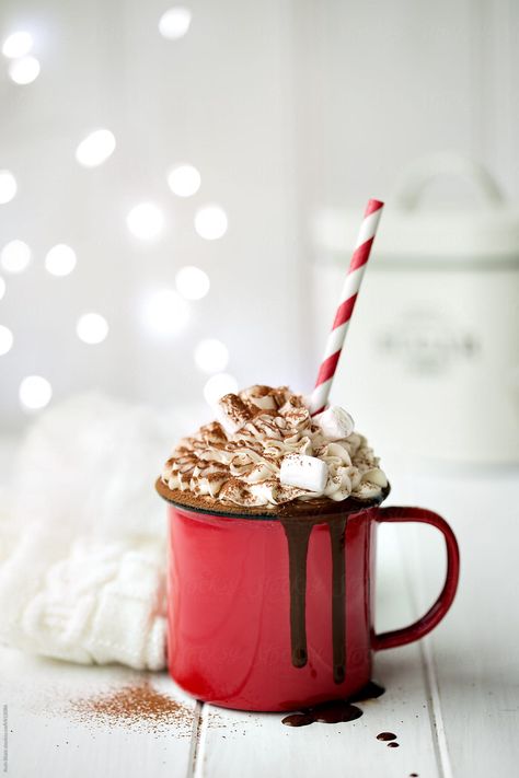 Hot chocolate with whipped cream and marshmallows by Ruth Black for Stocksy United Hot Chocolate Drink, Chocolate Drink, Chocolate Caliente, Christmas Photography, Spiced Rum, Chocolate Syrup, Mini Marshmallows, Coconut Cream, Christmas Wallpaper