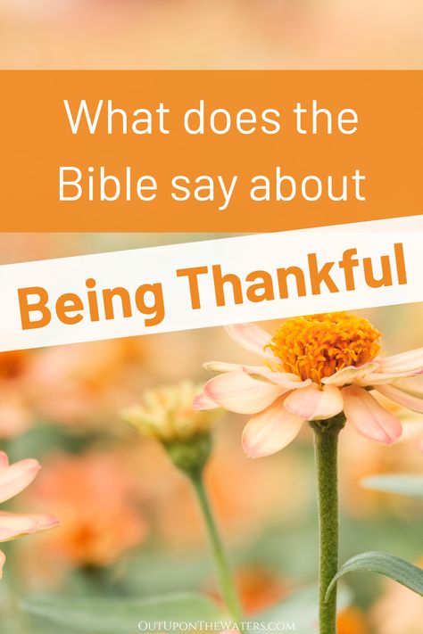 Learn more about what the Bible says about being thankful and giving thanks in all circumstances.  Includes stories of people who were grateful in the Bible.  #biblestudy #gratitudeintheBible #thankfulness Bible Study On Thankfulness, Scripture About Gratitude, Thanksgiving Bible Study For Women, Thanksgiving Devotions For Women, Thankfulness Scripture, Thanksgiving Devotions, Praying For Your Family, Sabbath School, Being Thankful