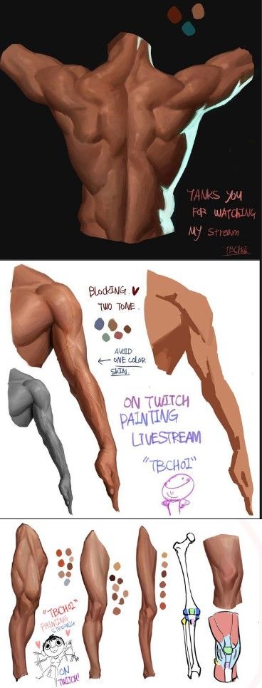 How To Color Muscles Digital, Hand Holding Crown Reference, Male Waist Drawing, Muscle Coloring Tutorial, Leather Art Reference, Male Body Back Reference, Male Body Shading, Buff Men Reference Photo, How To Color Abs Digital