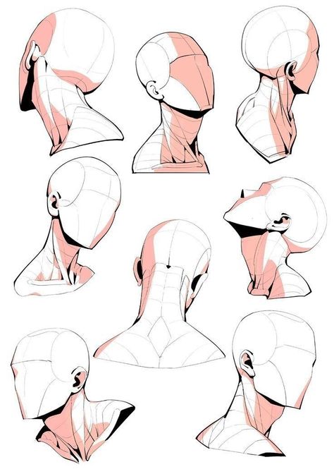 Human Anatomy Drawing, Face Drawing Reference, Seni Dan Kraf, Human Anatomy Art, Anatomy Sketches, 캐릭터 드로잉, Figure Drawing Reference, Anime Drawings Tutorials, Anatomy Art