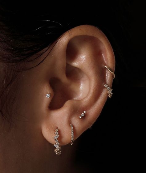 Ear Piercings And Tattoos, Lots Of Earrings On Ear, Sarah And Sebastian Earrings, Ear Piercing Designs Classy, Small Ear Piercings Ideas Classy, Balanced Ear Piercings, Ear Piercing Ideas Studs, Piercings Ear Silver, Peircings Earring Aesthetic