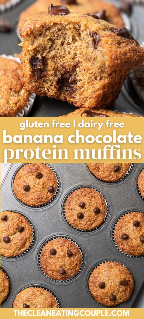 These Banana Chocolate Protein Muffins (Gluten Free | Dairy Free) are the perfect nutritious breakfast! Gluten/dairy free and packed with protein, they're delicious + easy to make! Great for kids and adults - these gluten free muffins are easily customized and so yummy! Paleo Protein Banana Muffins, Gluten Free Banana Protein Muffins, High Protein Gluten And Dairy Free Breakfast, High Protein Gluten Free Muffins, Gf Protein Muffins, Dairy Free Protein Muffins, Gluten Free Healthy Muffins, Protein Muffins Gluten Free, Gluten Free Muffins Healthy