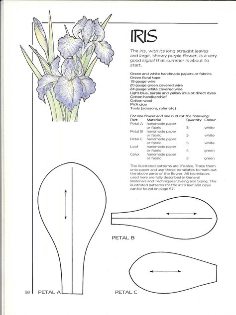 Iris 02 Jewelry Stencils, Dollhouse Greenhouse, Bride Basket, Flower Notes, Felt Flower Template, Quilling Snowflakes, Flower Templates Printable, Săpunuri Handmade, Paper Flower Patterns