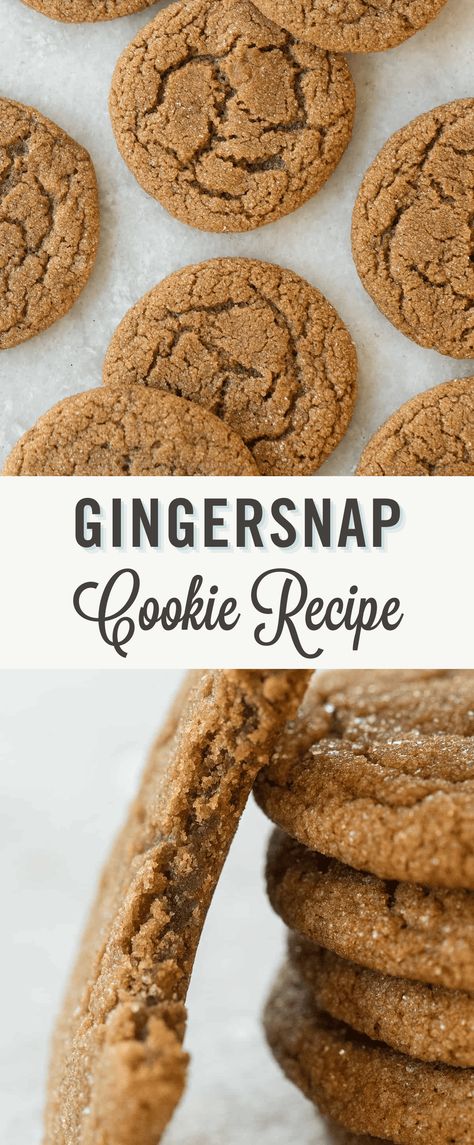 Gingersnap Cookie Recipe - Sugar and Charm Gingersnap Recipe, Gingersnap Cookie Recipe, Gingersnap Cookies Chewy, Ginger Snap Cookies Recipe, Ginger Snaps Recipe, Chewy Ginger Cookies, Gingersnap Cookies, Classic Peanut Butter Cookies, Best Christmas Cookie Recipe