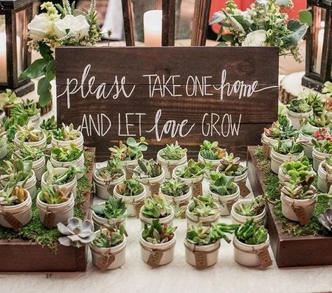 Let love grow with these gorgeous succulent wedding favours! #succulents #weddingfavours #weddingday 80 Birthday, Wedding Extras, Succulent Wedding Favors, Let Love Grow, Country House Wedding Venues, Succulent Favors, Succulent Cuttings, Succulent Wedding, Succulents Indoor