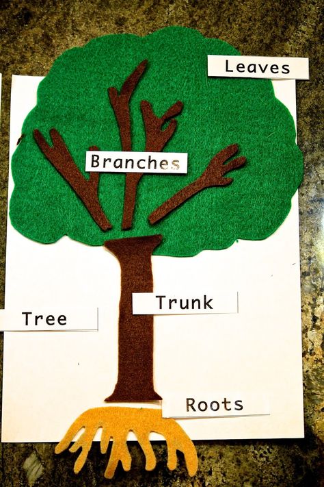 Love, Laughter and Learning with the Little Ones: DIY Montessori Felt Parts of a Tree Tree Preschool Activities, Tree Preschool, Parts Of A Tree, Montessori Science, Diy Montessori, Montessori Lessons, Montessori Diy, Tree Study, Montessori Homeschool