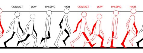 Walk Cycle Reference, Walking Cycle, Animation Walk Cycle, Cycle Drawing, Walking Animation, Learn Animation, Walk Cycle, Animation Tips, Richard Williams