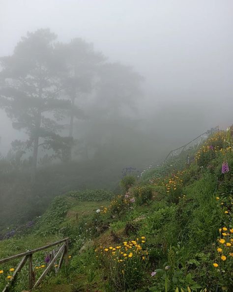 Foggy Meadow Aesthetic, Foggy Cottagecore, Foggy Spring Morning, Foggy Summer Morning, Misty Morning Aesthetic, Irish Countryside Aesthetic, Morning Fog Aesthetic, Foggy Weather Aesthetic, Paloma Core