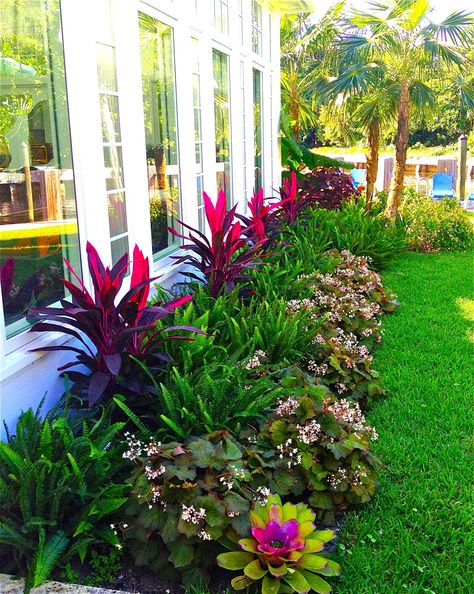 Steal these cheap and easy landscaping ideas​ for a beautiful backyard and front yard. #landscaping #backyard #frontyard Cheap Landscaping Ideas, Florida Landscaping, Tropical Garden Design, Tropical Backyard, Easy Landscaping, Front Landscaping, Landscape Designs, Front Yard Garden, Garden Landscape Design