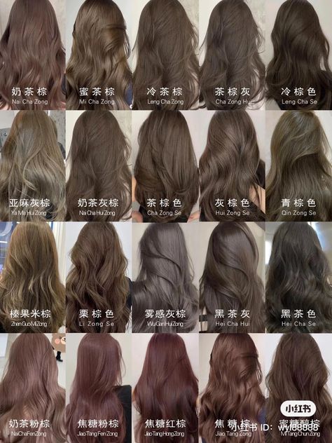 Subtle Hair Colors For Dark Hair, Asian Hair Color Ash Brown, Ash Brown Vs Chocolate Brown, Asian Light Hair Color, Brown Hair Blue Undertone, Milktea Brown Hair Color Asian, Brown Hair Shades For Fair Skin, Hair Dye Colors For Asians, Milk Tea Brown Hair On Tan Skin