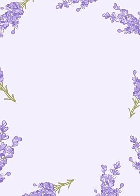 Purple Frame Border Aesthetic, Lavender Border Design On Paper, Background Designs For Projects Creative, Lavender Border Design, Flower Border Design Simple, Lavender Floral Background, Simple Flowers Wallpaper, White Purple Background, Purple Border Design