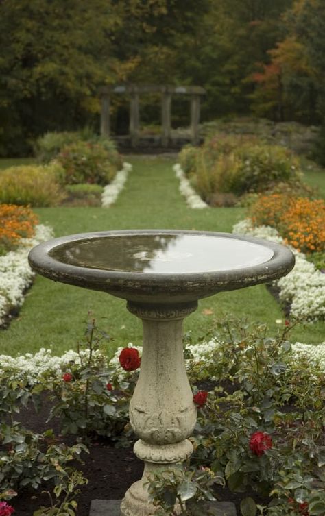 Bird Bath In Landscaping, Bird Fountain Garden, Bird Bath Garden Flower Beds, Bird Baths In Garden, Bird Fountain Ideas, Garden With Bird Bath, Birdbath Ideas Landscaping, Water For Birds, Birds Bath