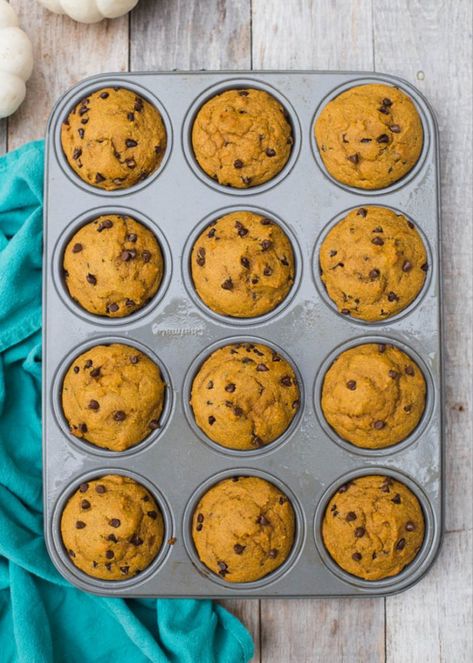 Muffins Chocolate Chip, Pumpkin Chocolate Chip Muffin Recipe, Kodiak Cakes Recipe, Vegan Pumpkin Muffins, Pumpkin Chocolate Chip Muffins, Kodiak Cakes, Pumpkin Chocolate Chip, Pumpkin Pancakes, Pumpkin Chocolate Chips