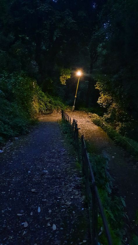 Evening Walk Aesthetic, Dark Summer Aesthetic, Hometown Aesthetic, Summer Evening Aesthetic, Night Walking Aesthetic, Evening Aesthetic, Dark Forest Aesthetic, Dark Summer, Night Walks