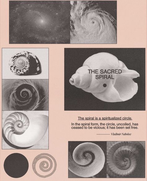 Logo Exploration, Spirals In Nature, Sacred Spiral, Golden Spiral, Fibonacci Spiral, The Spiral, Wow Art, Ethereal Art, Free Learning