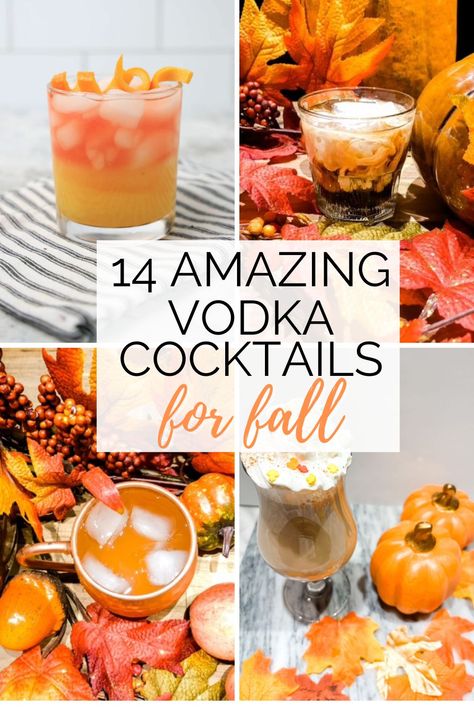 Fall Party Drinks Alcohol, Alcholic Drink For Thanksgiving, Low Carb Fall Cocktails, Carmel Vodka Apple Cider Fall Drinks, Easy Fall Drinks Alcohol Recipes, Simple Fall Alcoholic Drinks, Fun Fall Alcoholic Drinks, Best Fall Drinks Alcohol, Spiked Fall Drinks