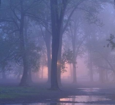 ༺♡༻ on Twitter: "soft misty mornings like this are so dreamy… " Lavender Aesthetic, Ethereal Aesthetic, Aesthetic Images, Purple Aesthetic, Nature Aesthetic, Pretty Places, Sky Aesthetic, Blue Aesthetic, Pretty Pictures