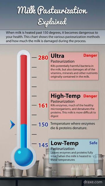 Milk Pasteurization Chart - 150° F is the temperature where enzymes die and proteins denature. When making homemade yogurt, etc aim to slowly heat milk to 145°. Raw Cheese, Goat Milk Recipes, Milk Benefits, Making Yogurt, Milk Products, Pasteurizing Milk, Dairy Goats, Milk Supply, Food Science