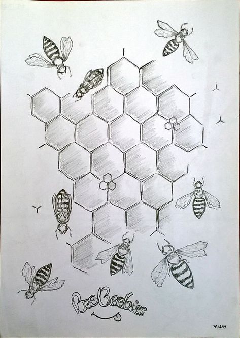 Bee And Honey Comb Drawing, Honey Bee Drawing Honeycombs, Honey Comb And Bees Tattoo, How To Draw Honeycomb, Bee Hive Drawings, Beehive Sketch, Honey Combs Drawing, Honey Comb Tattoo Designs, Honeycomb Sketch