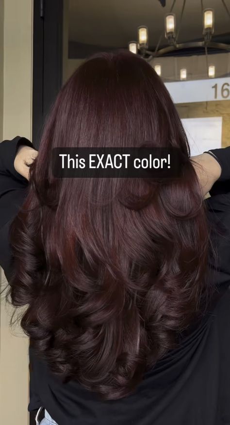 Hair Color Ideas Burgundy Maroon, Wine Brown Hair Color, Hair Color Ideas Solid Colors, Red Tinted Hair Brunette, Auburn Cherry Hair, Wine Highlights Brown Hair, Crushed Garnet Hair Color, Red Wine Burgundy Hair, Dark Burgundy Brown Hair Color