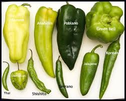 20 Different Types of Peppers and Their Delicious Uses Types Of Peppers, Chile Peppers, Baked Apple Pie, Olive Oil Cake, Green Peppers, Chile Pepper, Food Info, Chilli Pepper, Spices And Herbs