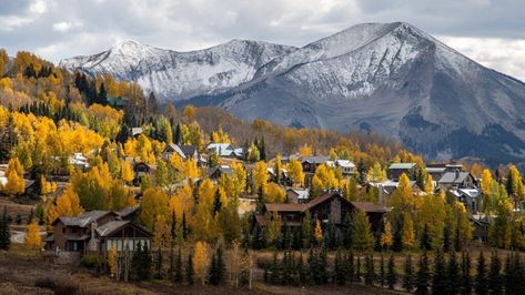 #fallfoliage #mountainmagic #leafwatcher #naturestrick #NCmountains #BlueRidge #autumncolors #adventureseason #outdooradventures #fallhikes #mountainbiking #Oktoberfest #BlowingRock #Appalachians #leafpeeping #SaltLakeCity #WasatchMountains Big Reputation, Colorado Towns, Sawtooth Mountains, 2024 Travel, Canada Travel Guide, Ski Town, Forest Photos, Colorado Skiing, Colorado Hiking