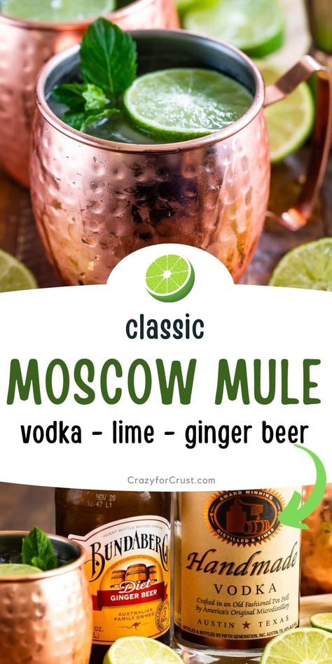 Ginger Beer Mule, Acholic Drinks, Ginger Beer Drinks, Wine Mixed Drinks, Mule Drink, Ginger Beer Recipe, Easy Cocktail Recipe, Ginger Beer Cocktail, Yummy Cocktails