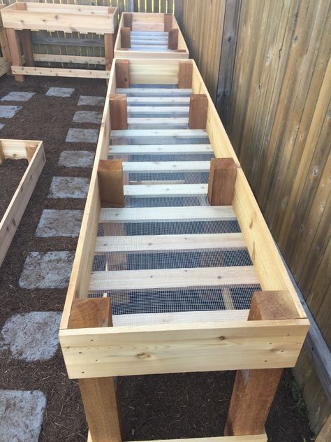 Raised Garden Beds Ideas, Garden Beds Ideas, Diy Raised Garden Beds, Fall Deck, White Deck, Elevated Garden Beds, Beds Ideas, Elevated Gardening, Vegetable Beds Raised