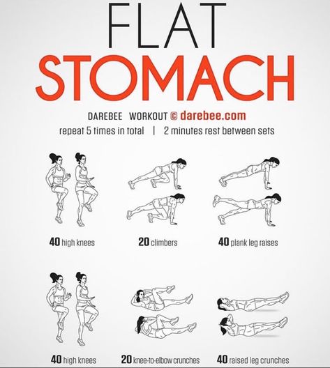 Abb Workouts, Flat Stomach Workout, Workout For Flat Stomach, Quick Workout Routine, Workout Without Gym, Body Workout Plan, At Home Workout Plan, Gym Workout For Beginners, Flat Stomach