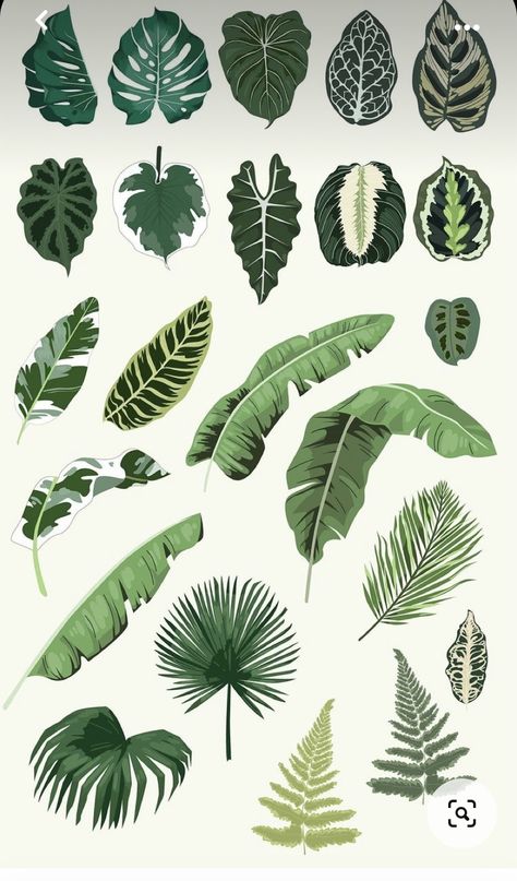 Drawing Monstera Plant, Botanical Leaf Drawing, House Plant Leaf Tattoo, Detailed Leaf Drawing, Foliage Plants Drawing, Alocasia Drawing, Jungle Plants Drawing, Plants Graphic Design, Philodendron Drawing