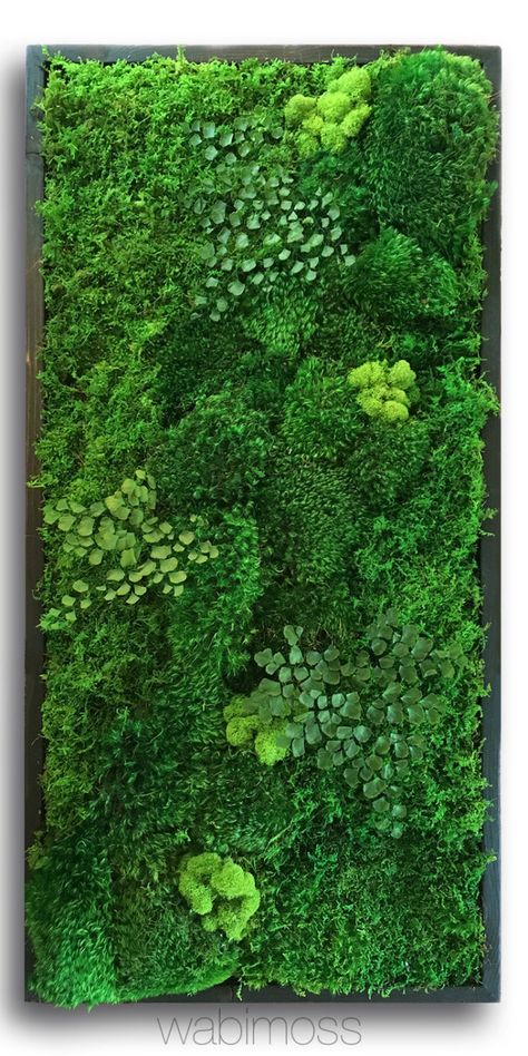 Preserved Moss Wall Art, Mos Wand, Preserved Moss Wall, String Garden, Manzanita Branches, Vertical Garden Wall, Wall Art Green, Moss Wall Art, Moss Garden