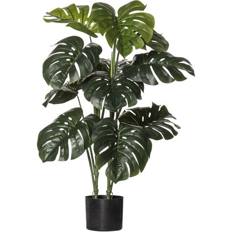 Black Planters, Artificial Plants And Trees, Floor Plants, Palm Plant, Cheese Plant, Interior Plants, Artificial Trees, Monstera Plant, Artificial Tree