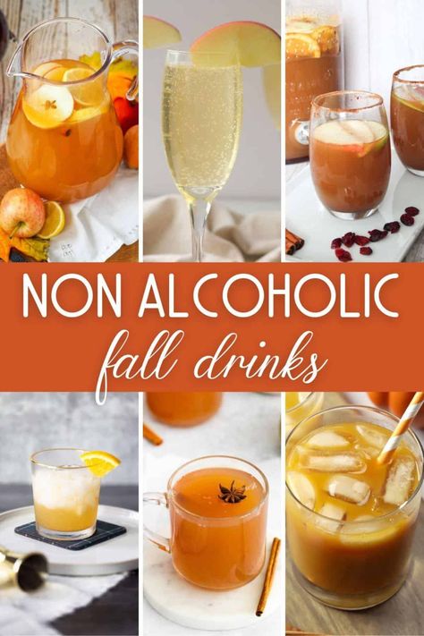 🍁🍂Craving cozy fall flavors but skipping the spirits? Dive into our collection of delicious booze-free mocktails! 🥂☕ From apple cider twists to pumpkin spice sips, we've got your autumn non-alcoholic drink desires covered. Cheers to fall!🍂🍁 Alcoholic Fall Drinks, Mock Cocktails, Fall Apple Cider, Apple Cider Drink, Fall Drink Recipes, Cider Drinks, Kid Friendly Drinks, Apple Drinks, Spiced Drinks